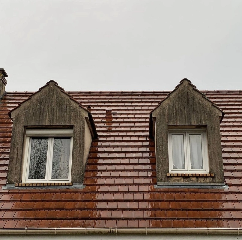 SCALP RENOV'EXPRESS AVANT Nettoyant façade, toiture et sol