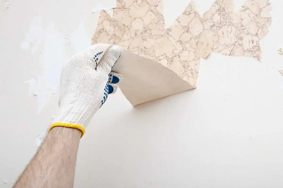 decol'papier Décolleur papier peint